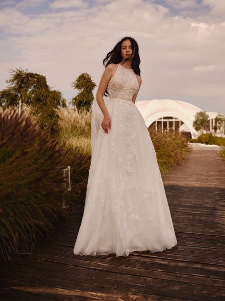 Amity by Vittoria Soltero